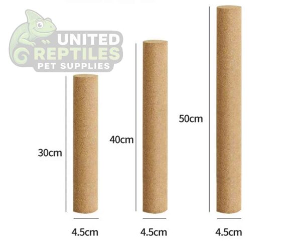 abstract hexagonal shape with lizard inside Mclanzoo Cork Tube