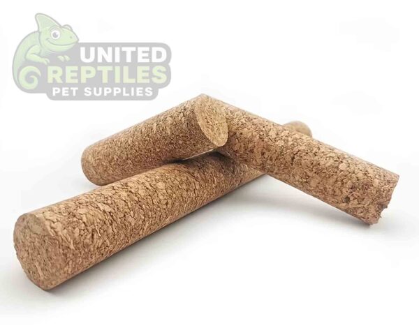 abstract hexagonal shape with lizard inside Mclanzoo Cork Tube