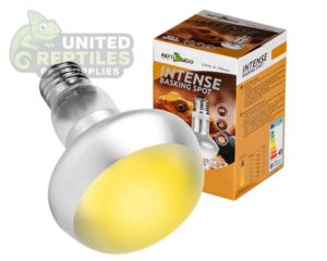 Repti Zoo Intense Basking Spot