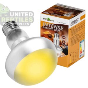 Repti Zoo Intense Basking Spot