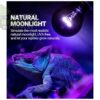 Repti Zoo Moonlight Heat Lamp