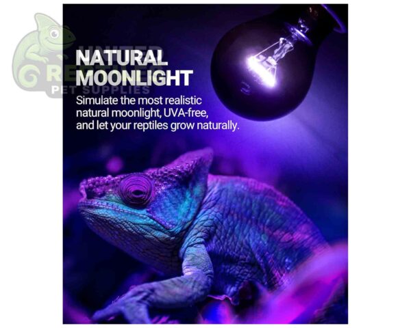 Repti Zoo Moonlight Heat Lamp