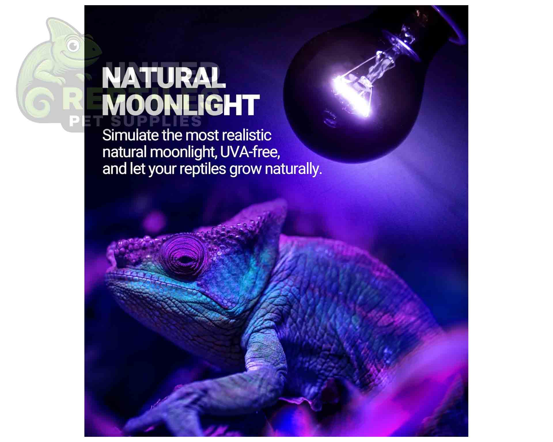 Repti Zoo Moonlight Heat Lamp - Image 2