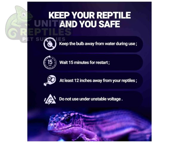 Repti Zoo Moonlight Heat Lamp