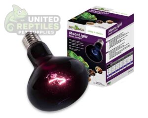 Repti Zoo Moonlight Heat Lamp
