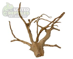 Spider Wood per 100g