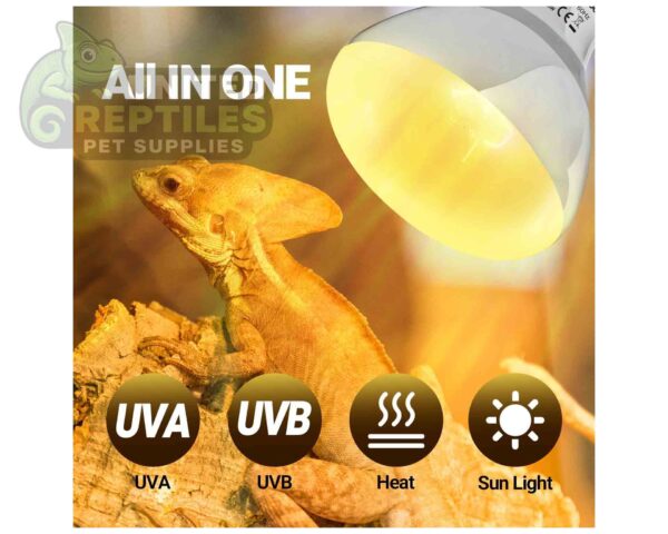 RZ Super Sun UVB/UVA Lamp